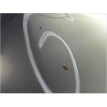 CAPOT RENAULT CLIO II PH.1 98-2001