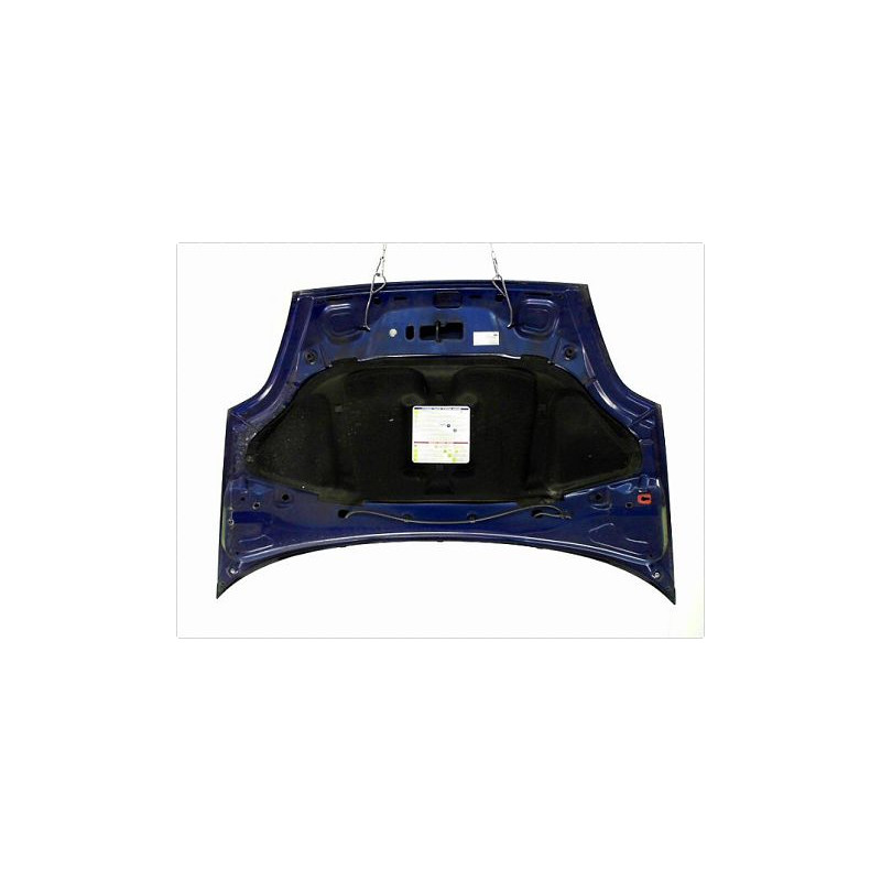CAPOT FIAT GRANDE PUNTO III 05-13