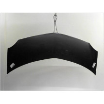 CAPOT RENAULT MODUS 2004-2007