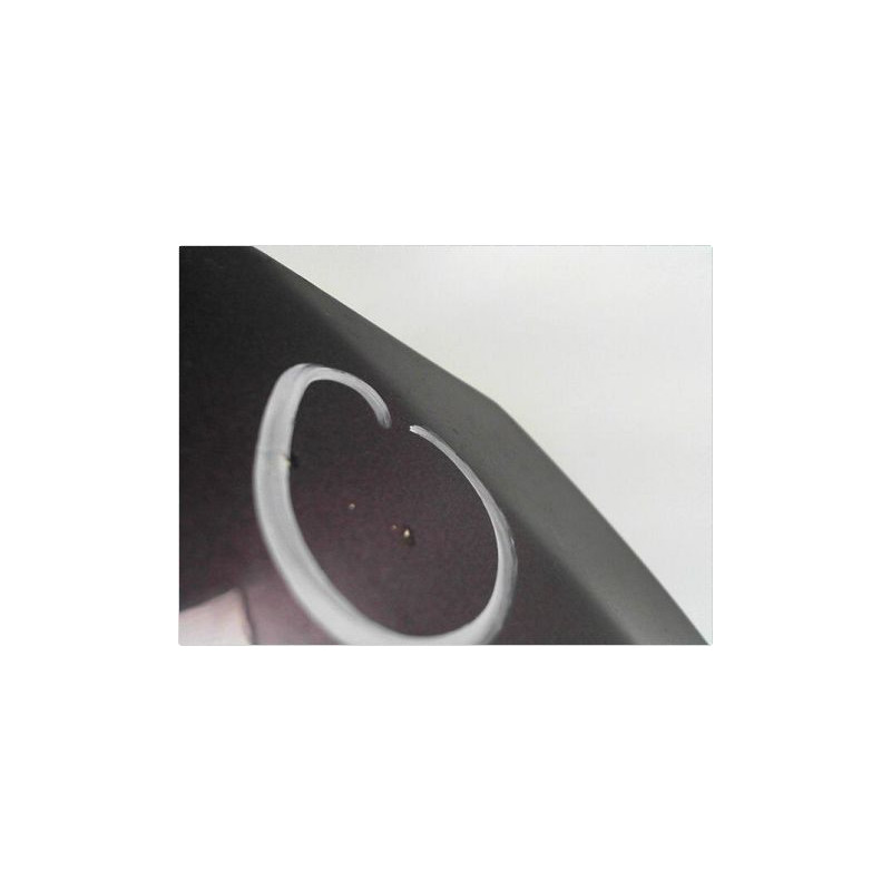 CAPOT PEUGEOT 307 2001-2005