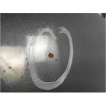 CAPOT OPEL ZAFIRA 05-07