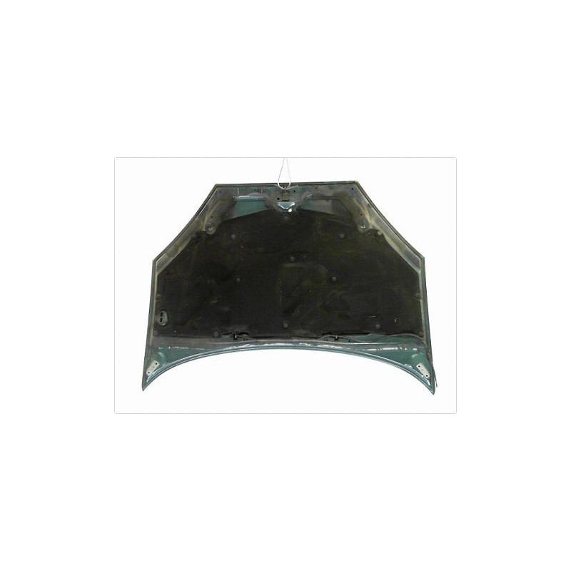CAPOT FORD FOCUS 98-04
