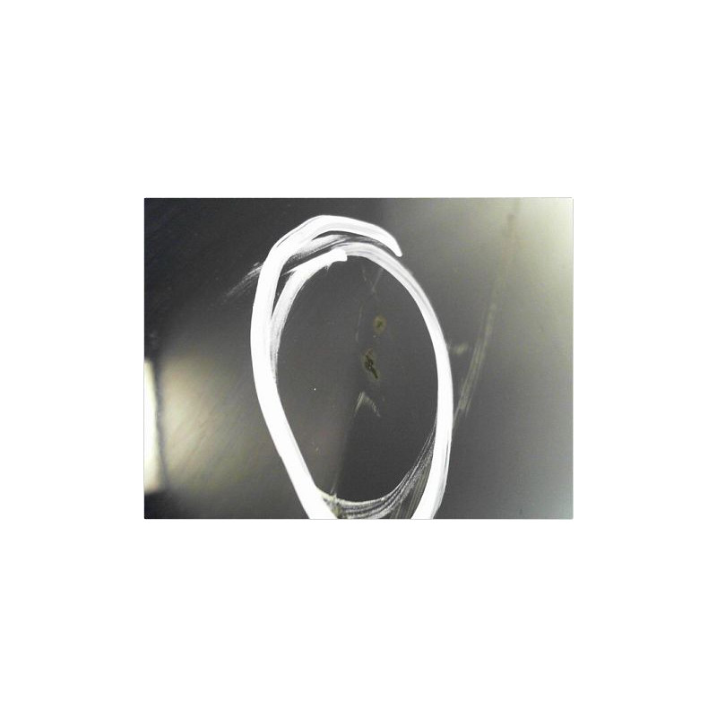 CAPOT DACIA SANDERO 08-12