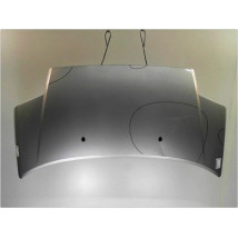 CAPOT CITROEN C2 03-08