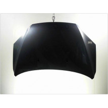 CAPOT FORD FOCUS 04-07