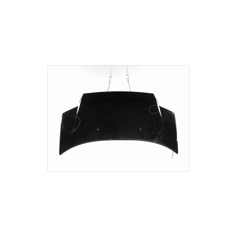 CAPOT CITROEN C2