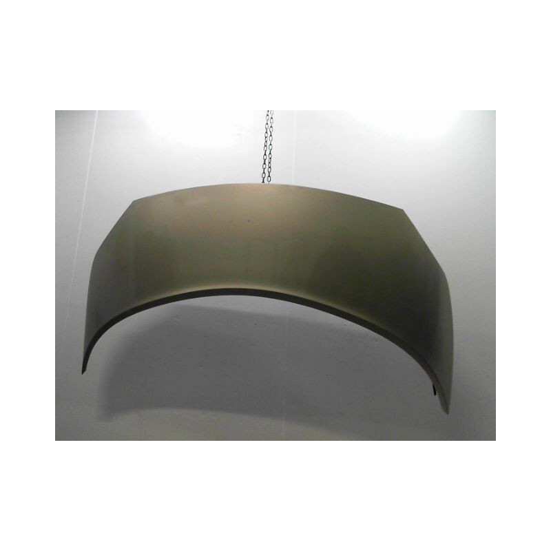 CAPOT RENAULT SCENIC MONOSP. II Phase 2 2006-2009