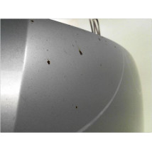 CAPOT FORD FOCUS 04-07