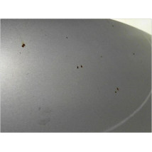 CAPOT FORD FOCUS 04-07