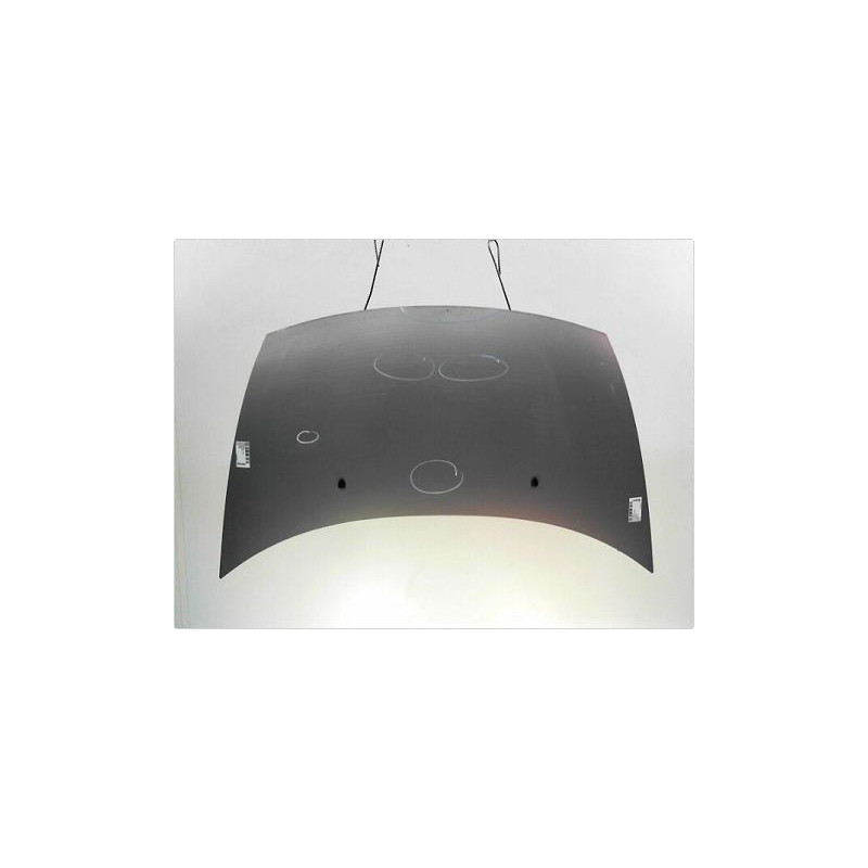 CAPOT CITROEN C3 2002-2005