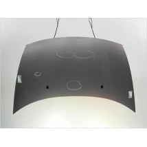 CAPOT CITROEN C3 2002-2005