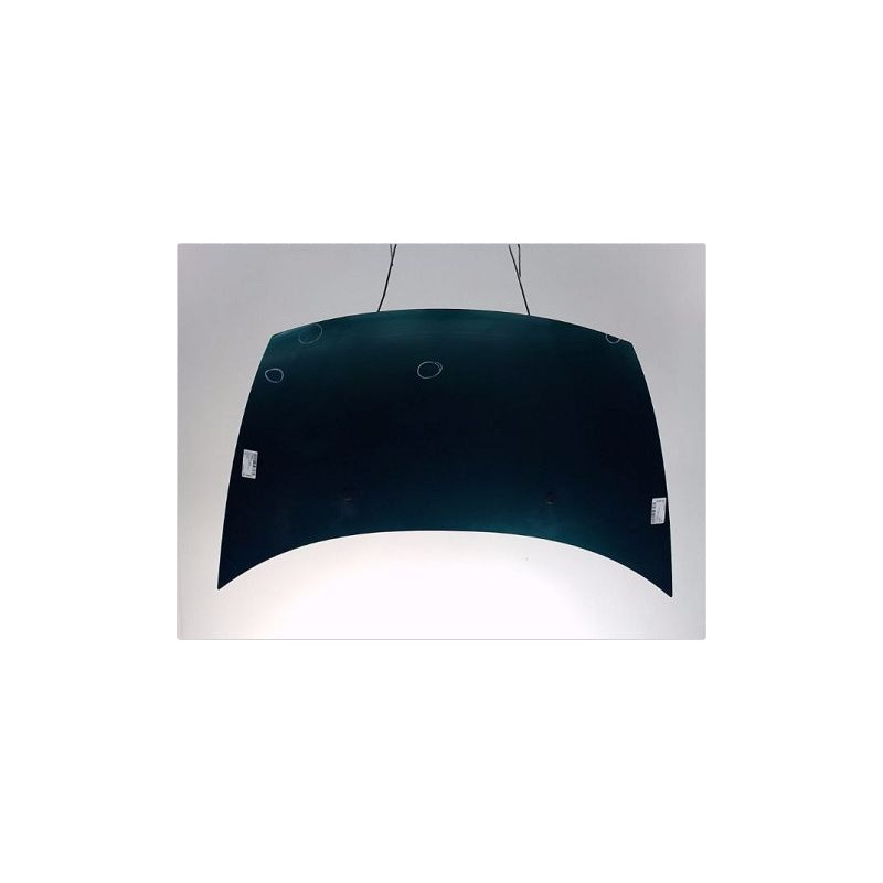 CAPOT CITROEN C3 2002-2005