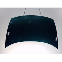 CAPOT CITROEN C3 2002-2005
