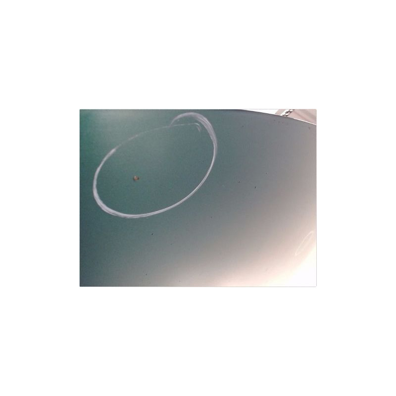 CAPOT CITROEN C3 2002-2005