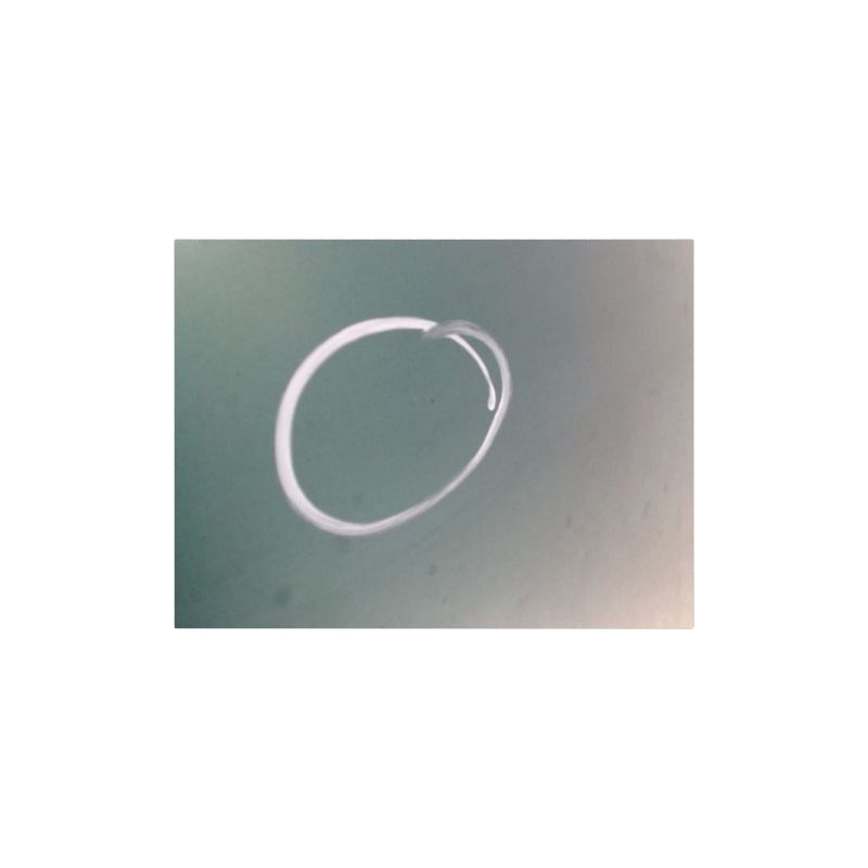 CAPOT CITROEN C3 2002-2005