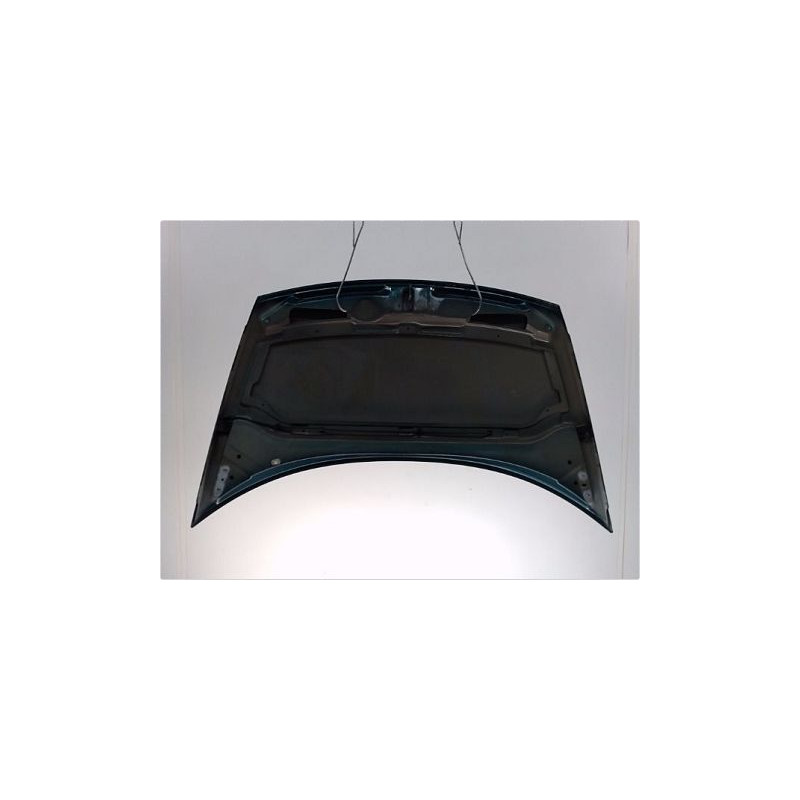 CAPOT CITROEN C3 2002-2005