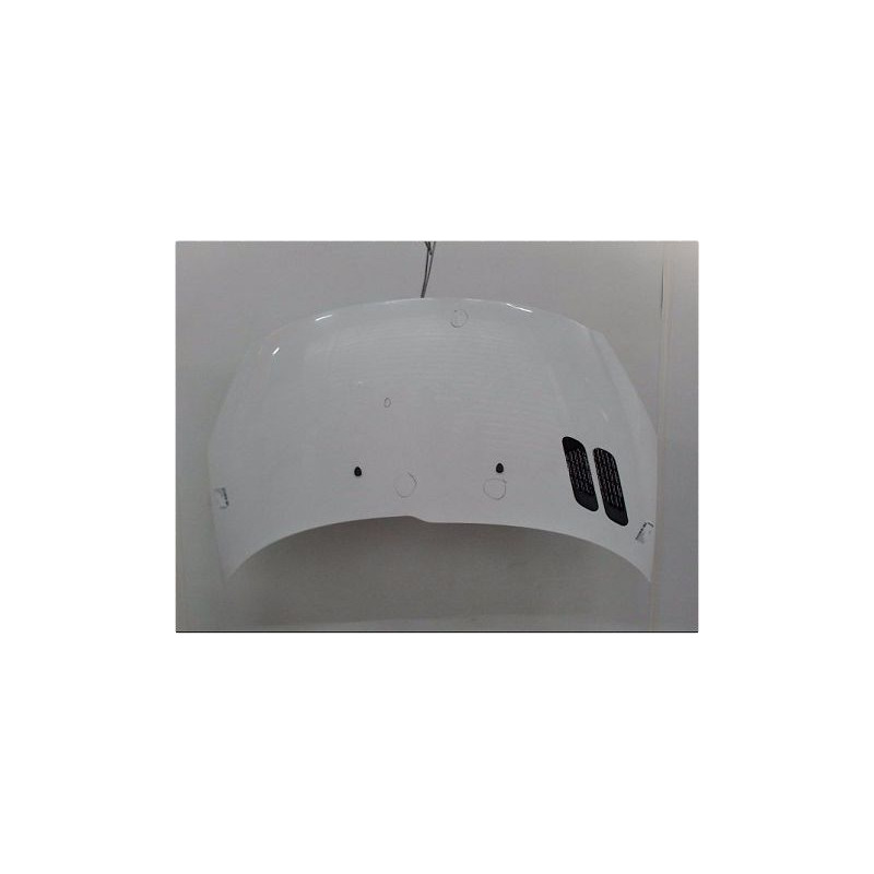 CAPOT PEUGEOT 206+ 09-13