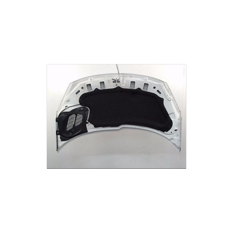 CAPOT PEUGEOT 206+ 09-13