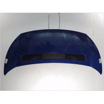CAPOT FIAT SCUDO II TOLE 2007-
