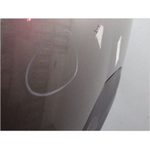 CAPOT CITROEN C4
