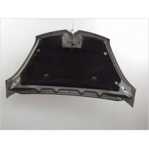 CAPOT CITROEN C4