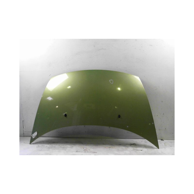 CAPOT CITROEN C3 2005-