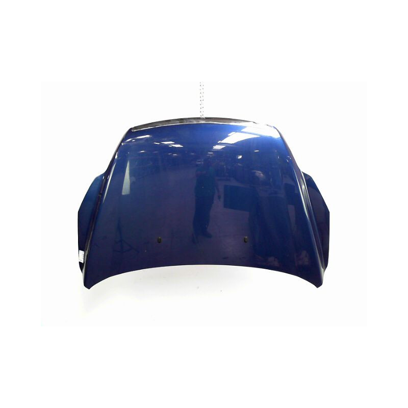 CAPOT FORD FOCUS 2008-
