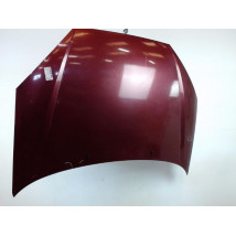 CAPOT FORD FOCUS 98-04