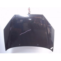 CAPOT FORD FOCUS 04-07