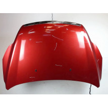 CAPOT FORD FOCUS 2008-