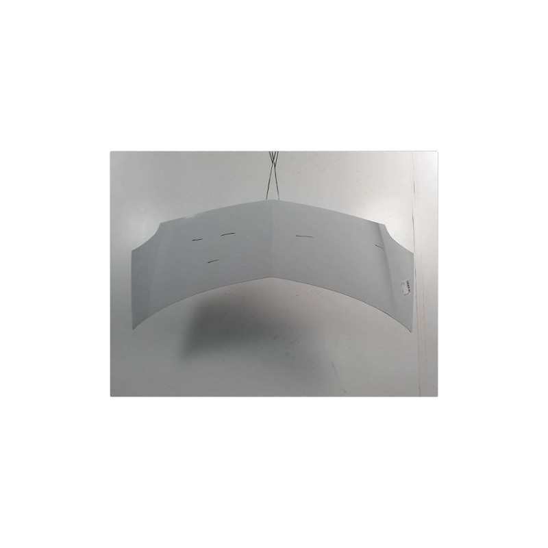 CAPOT RENAULT MODUS