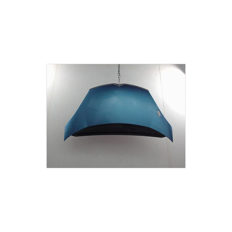 CAPOT CITROEN C4