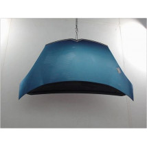 CAPOT CITROEN C4