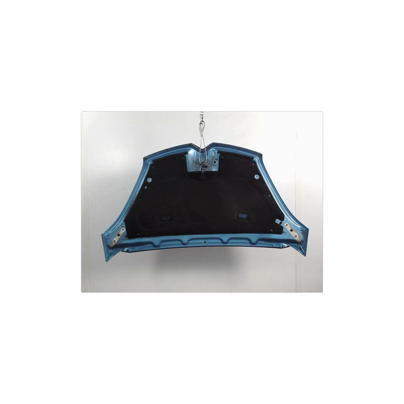 CAPOT CITROEN C4