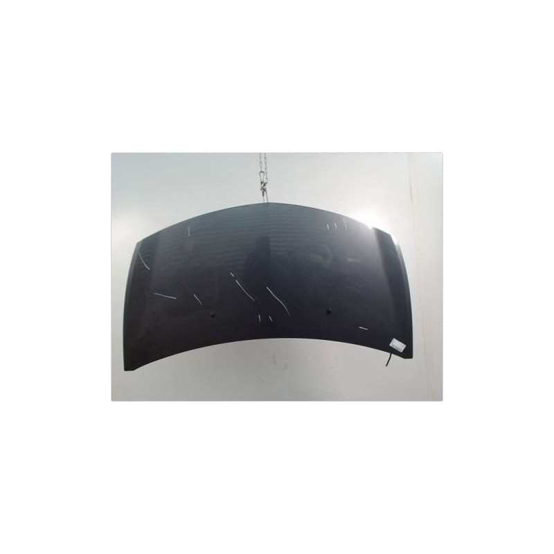 CAPOT RENAULT CLIO
