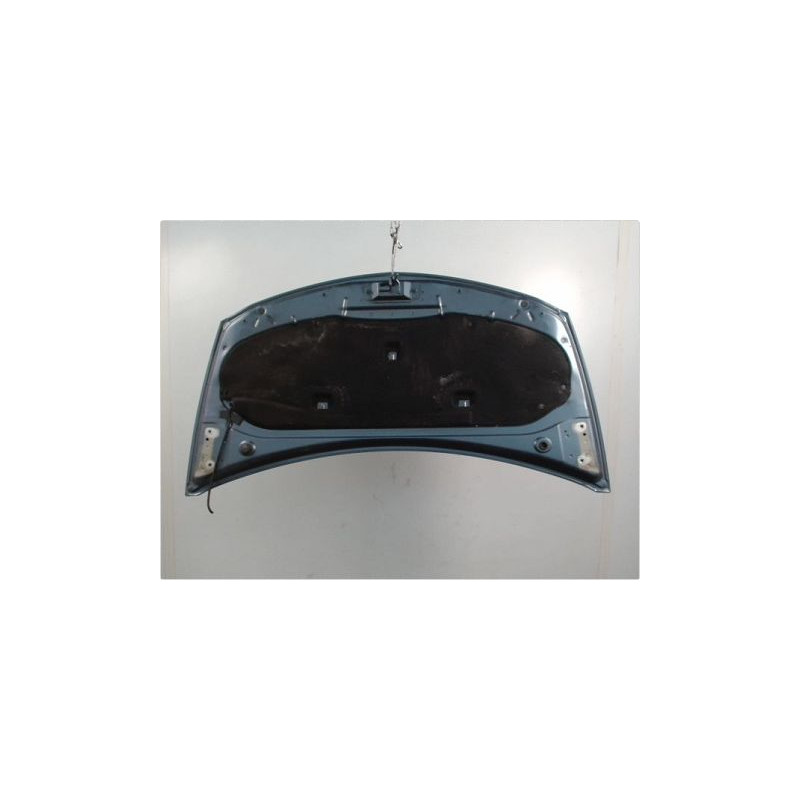 CAPOT RENAULT CLIO