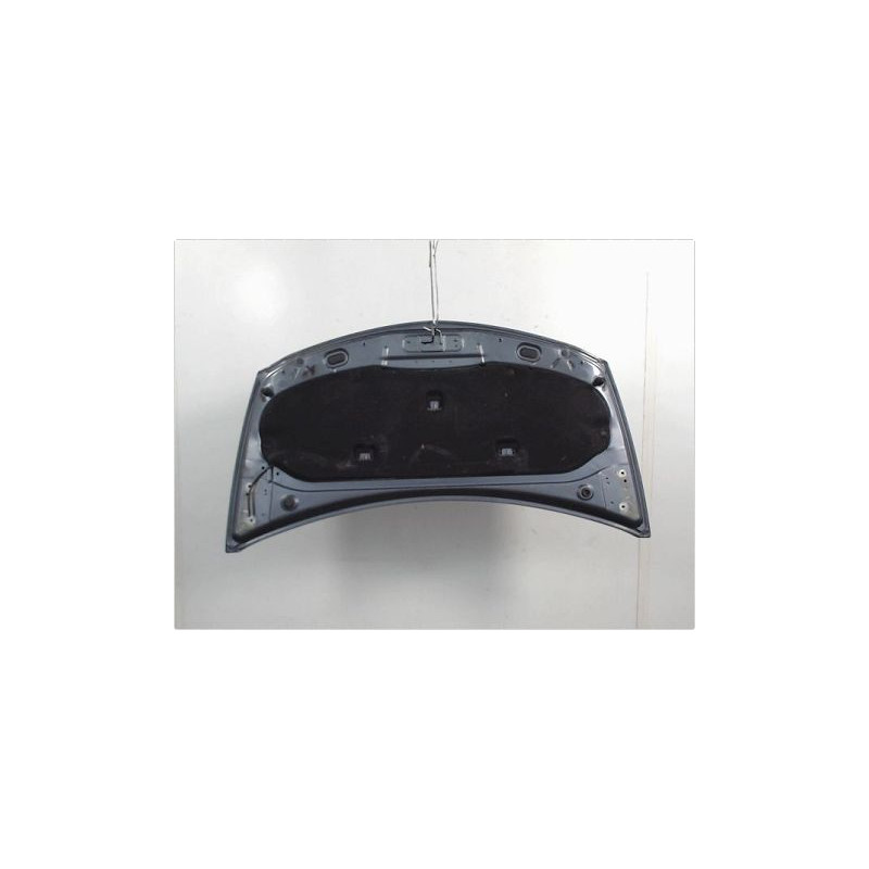 CAPOT RENAULT CLIO