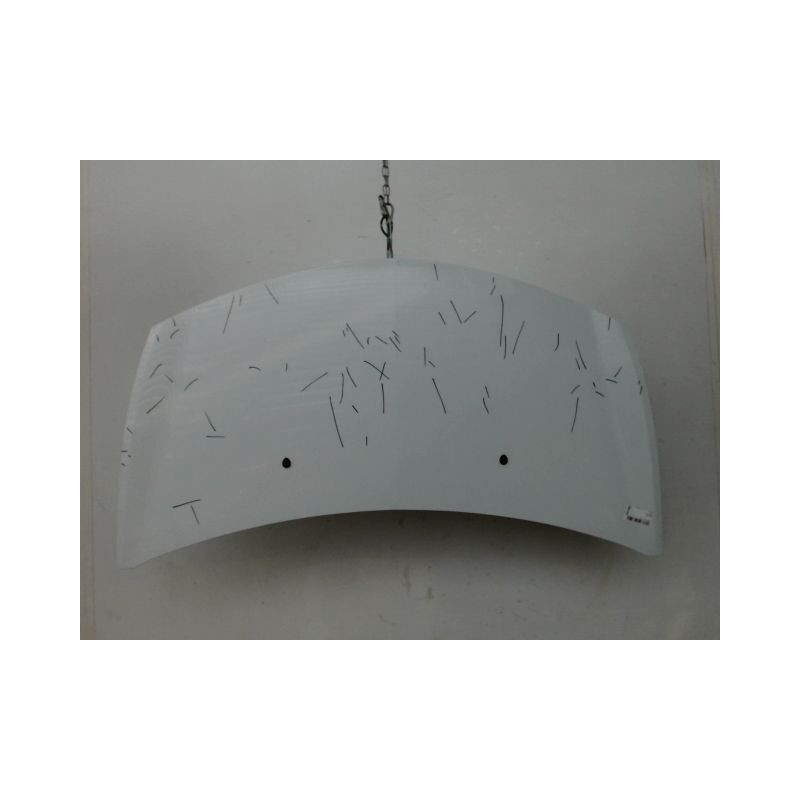 CAPOT RENAULT CLIO