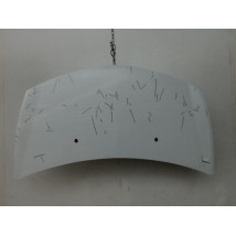 CAPOT RENAULT CLIO