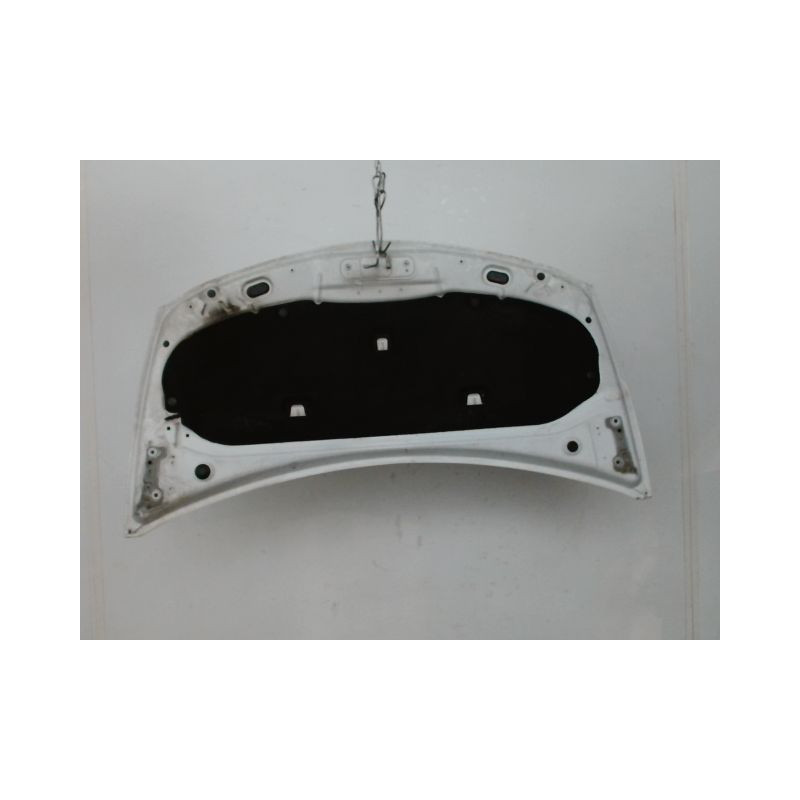 CAPOT RENAULT CLIO