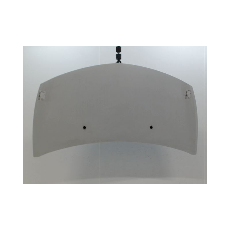 CAPOT RENAULT CLIO III Phase 2 2009-2014