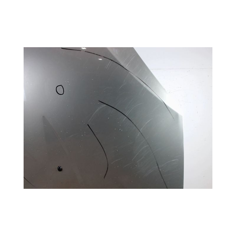 CAPOT DACIA SANDERO 2008-