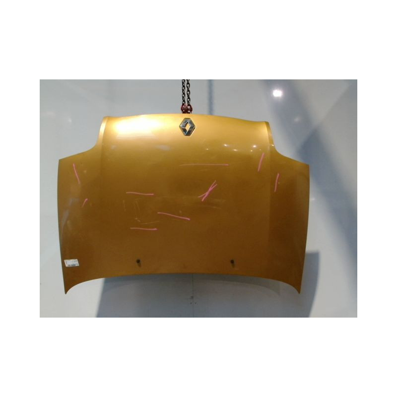 CAPOT RENAULT CLIO  2