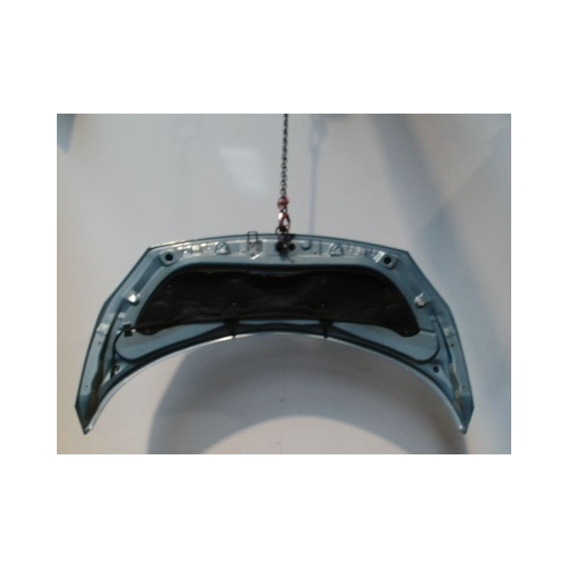 CAPOT RENAULT SCENIC II PH1 02-06