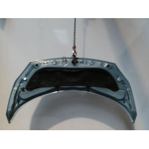 CAPOT RENAULT SCENIC II PH1 02-06