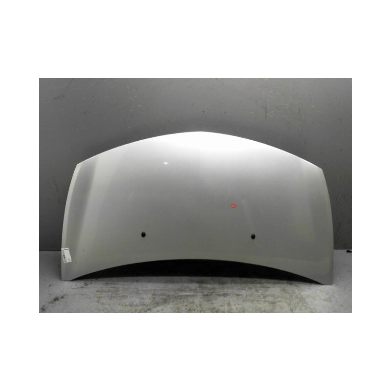 CAPOT RENAULT CLIO