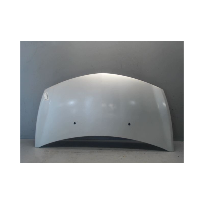 CAPOT RENAULT CLIO