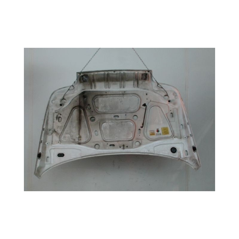 CAPOT RENAULT CLIO