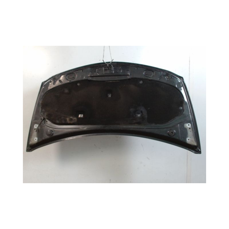 CAPOT RENAULT CLIO