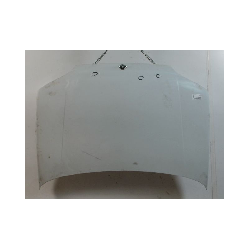 CAPOT RENAULT CLIO